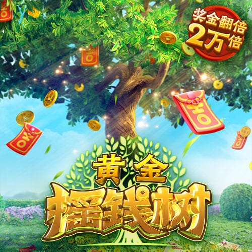 不雅视频客户端